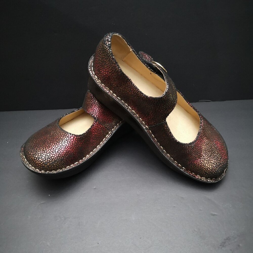 Alegria Ladies Size 35 (approx. 4.5 US) Paloma Mary Jane Slight Wedge Shoes